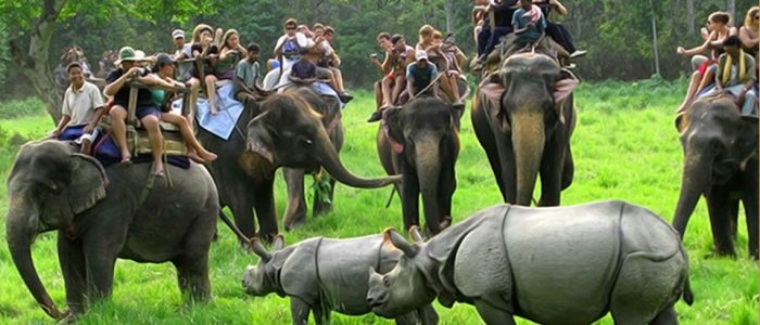 kaziranga-safari-zones