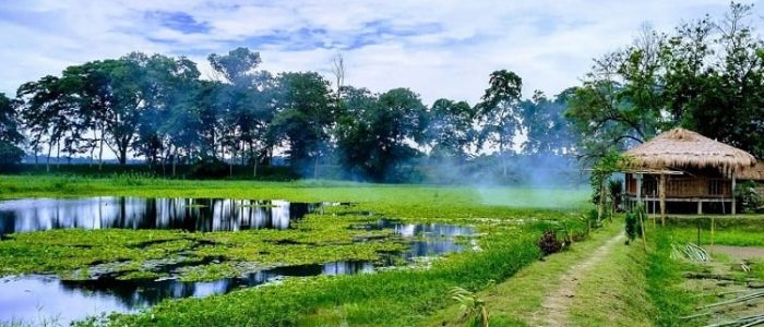 majuli2