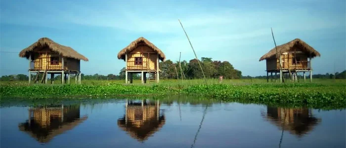 mazuli