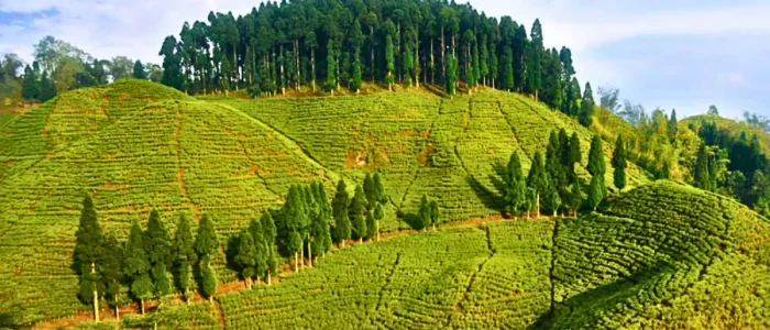 mirik2