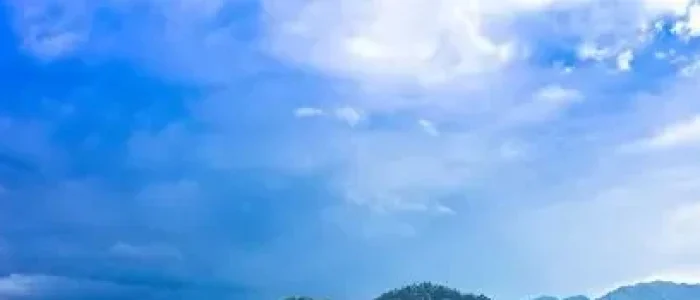 ziro1